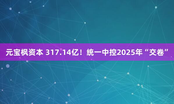 元宝枫资本 317.14亿！统一中控2025年“交卷”