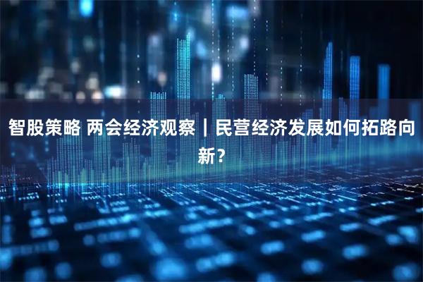 智股策略 两会经济观察｜民营经济发展如何拓路向新？