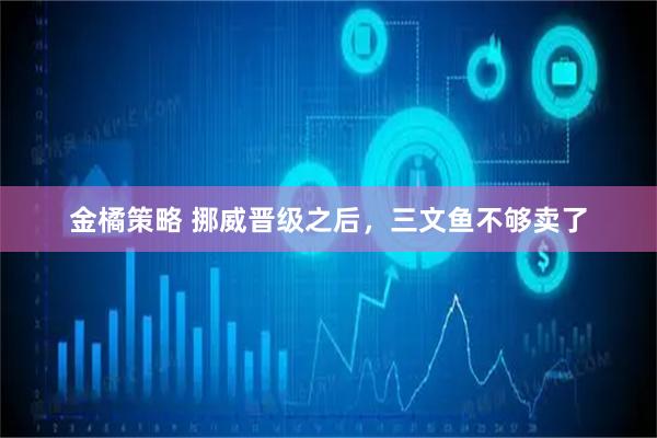 金橘策略 挪威晋级之后，三文鱼不够卖了