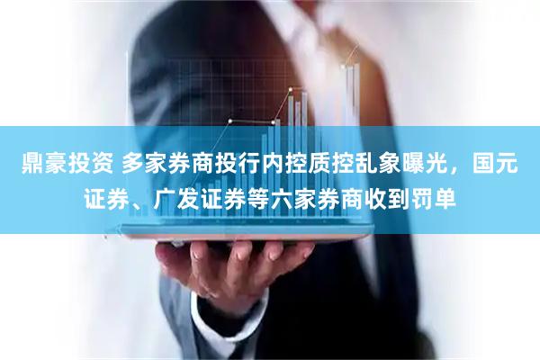 鼎豪投资 多家券商投行内控质控乱象曝光，国元证券、广发证券等六家券商收到罚单