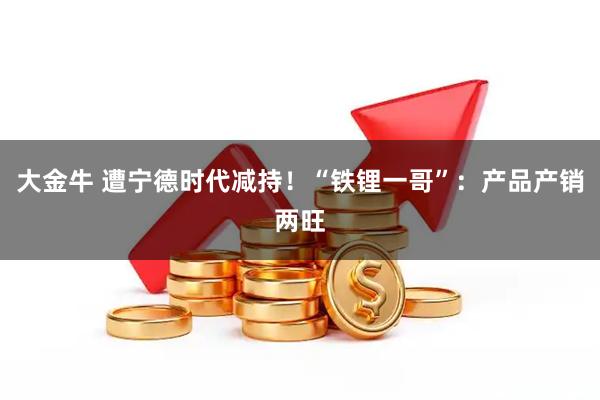 大金牛 遭宁德时代减持！“铁锂一哥”：产品产销两旺